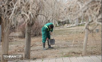 آئین غرس درخت به پاسداشت شهدای منطقه ۵ 28