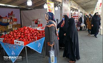 جشنواره انار «صد دانه یاقوت» 13
