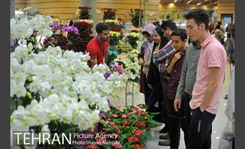 شانزدهمین نمایشگاه بین المللی گل و گیاه تهران - 2 27