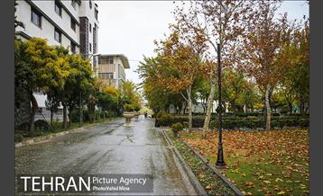 پاییز در بوستان رازی 1