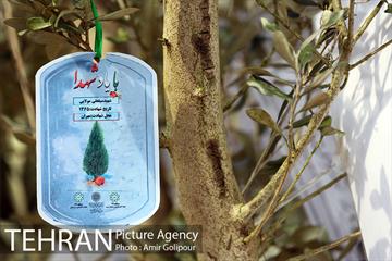 آیین کاشت درخت دانش در بوستان جنگلی چیتگر 24