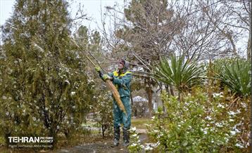 بارش برف زمستانی در منطقه 14