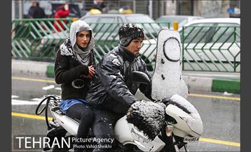 بارش برف در شمال تهران 8