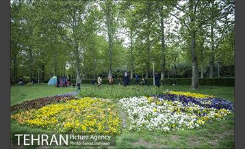 روز طبیعت بارانی در بوستان لاله 10