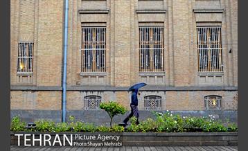 تهران بارانی است 5