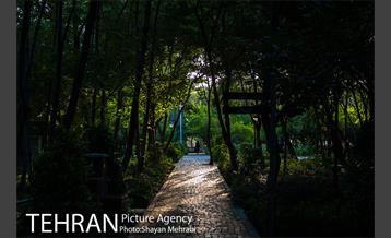 بوستان باغ ایرانی 33