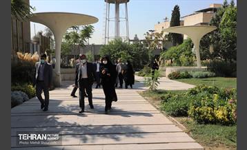 بازدید میدانی ناصر امانی از منطقه 7