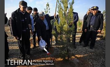 بوی نامطبوع در مسیر فرودگاه امام خمینی(ره) 12