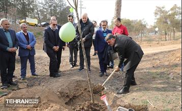 غرس ۲۷۸۲ نهال در سرخه‌حصار به یاد درگذشتگان جامعه پزشکی 18