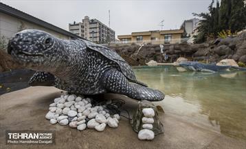 اقیانوس پارک  16