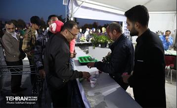 بهار قرآن و طبیعت در برج میلاد 5