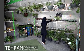 طرح گلماند در منطقه 18