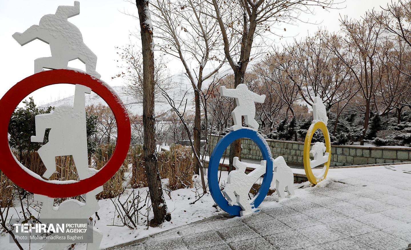 روز برفی در منطقه 22 12