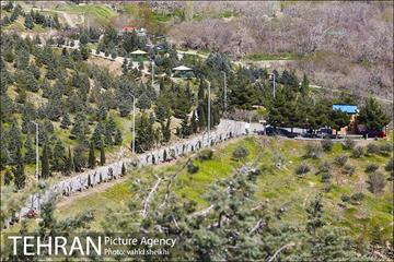 بوستان جنگلی کوهسار 16