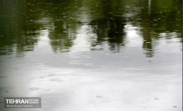 بارش باران بهاری در تهران - 2 33