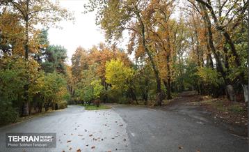 طبیعت پاییزی مجموعه فرهنگی تاریخی سعدآباد  29