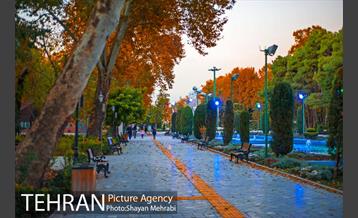 طبیعت پاییزی پارک شهر 1