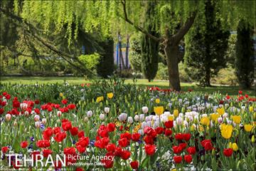 روزهای بهاری پارک شهر 19