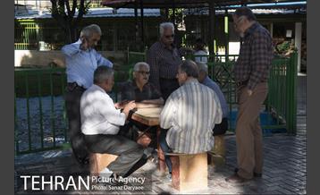 بوستان شقایق 13