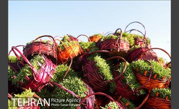 بازار گل شهید محلاتی در آستانه نوروز 1