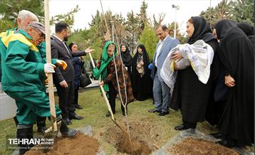 دومین پویش نفس‌های تازه شهر 38