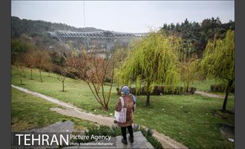 بارش باران بهاری در تهران 21
