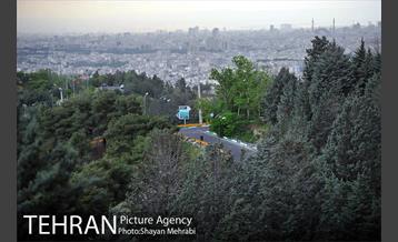 پارک جنگلی لویزان‎ 25