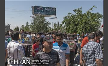 مرکز خرید و فروش پرندگان زینتی غرب تهران (خلیج)  33