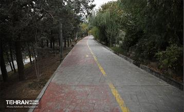 طبیعت پاییزی باغ راه فدک تهران 2