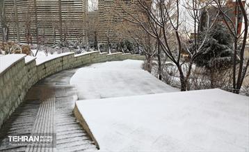 روز برفی در منطقه 22 11