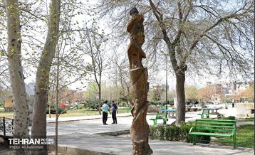 بهار در منطقه 18 20