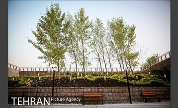 شهرنگار؛ باغ هنر 20