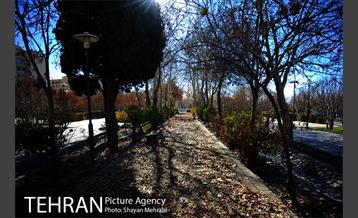 بوستان پلیس 16