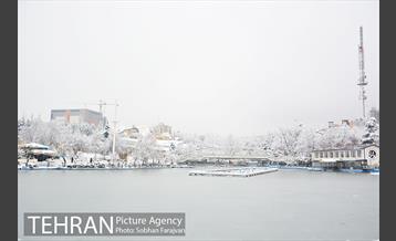 روز برفی تهران در بوستان ملت 11