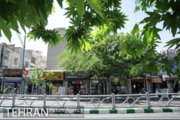بورس لوازم ورزشی منیریه 23