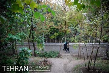 بارش باران پاییزی در تهران 11