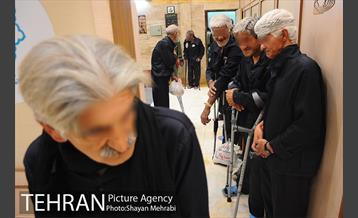 گرمخانه ها، دور از سرما 27