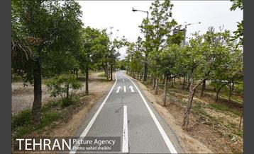 پارک چیتگر 3