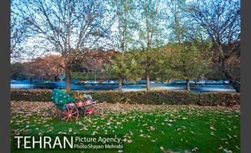 پاییز اراضی عباس آباد 33