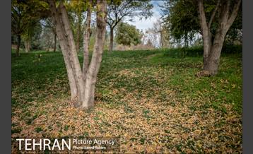 پاییز زیبای پایتخت- 3