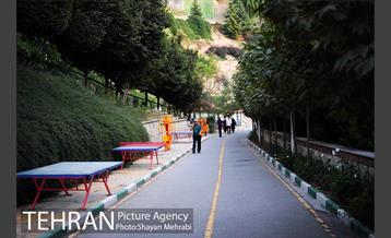 بوستان نهج البلاغه (فاز١) 25