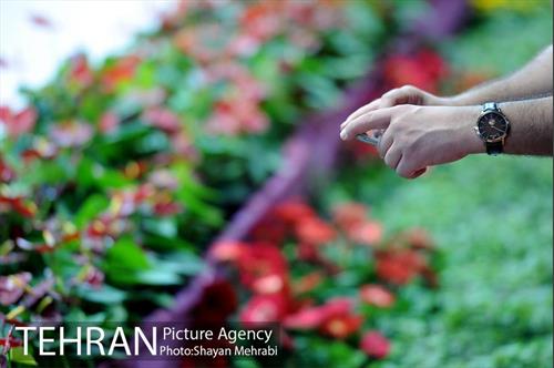 چهاردهمین نمایشگاه بین المللی گل و گیاه 31