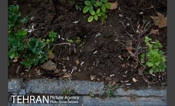 فیلتر سیگار زباله است 7