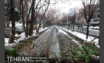 روز برفی بلوار کشاورز 18