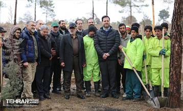 آغاز کاشت ۲۵ هزار اصله نهال غیرمثمر در بوستان چیتگر 8