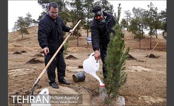 آغاز عملیات اجرایی نهضت درختکاری پردیس گردشگری 15