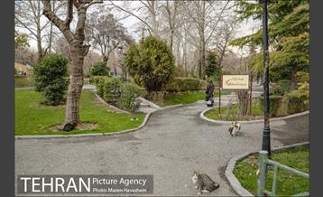 بوستان ملت 10