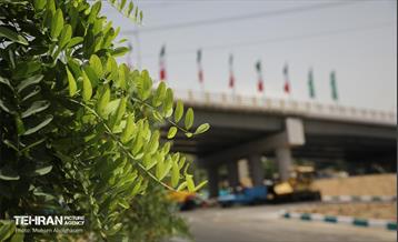 یکصد و هشتادمین پویش امید و افتخار 1