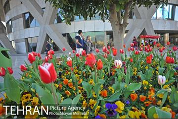 برج میلاد میزبان لاله های بهاری و تخم مرغ های رنگی 2