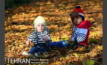 پاییز بوستان تمدن 10